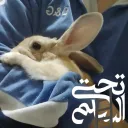 تحت السلم