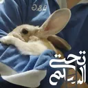 تحت السلم