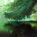 just sum server Server Icon