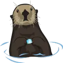 Otternet