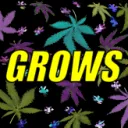 GROWSRUS