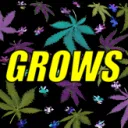 GROWSRUS