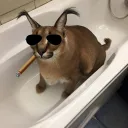 cumland