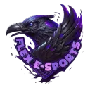 FLEX E-SPORT