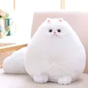 MerRasのお部屋