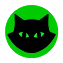 Midnight's Misfits