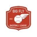 Big Fly Baseball League
