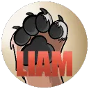 WolfieLiam's server
