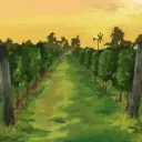 The Vineyard 🍅