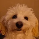 si