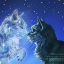 WarriorCats RP 2