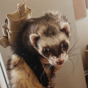 stringy bois club Server Icon