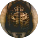 Coriolis VF officiel