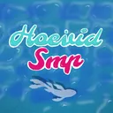 HoevidMC