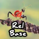 Rel Base