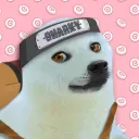 Snarkiest of Seals
