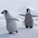 The Antarctica