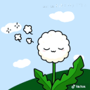 Dandelion SMP