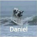 Cow and Daniel Appreciation Server Discord Server Icon