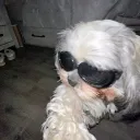 Wala Pera Republic Discord Server Icon