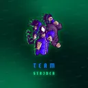 Team Strider