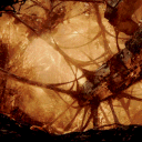 Discordant space