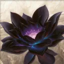TCGやろうぜ！