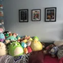 Squishmalllows!