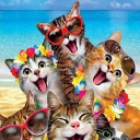 gang! Discord server icon