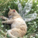 Addies a queer Server Icon