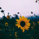 -̗̀➛BooYourBeloved