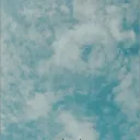 int.