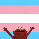 Trans Debate Server Icon