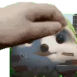 Something Community