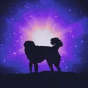 Starlight Nomads