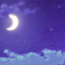 ୨୧・❀ 𝐋𝐚𝐯𝐞𝐧𝐝𝐞𝐫 𝐅𝐢𝐞𝐥𝐝𝐬