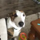 Smith's Hangout Discord Server Icon