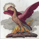 The Birdpire
