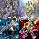 TOSS Format