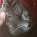 Duncan