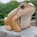 (　)のサーバー