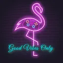 Good Vibes Only (GvO)