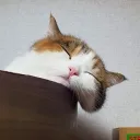 ～ないくりのお部屋～