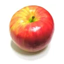 🍎지멍이의 서버입니다🍏
