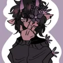 night kachicu's discord