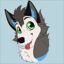Tushky