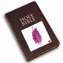 The Official Nicki Minaj Religion Discord