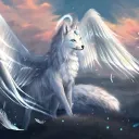 THE ANGELIC's