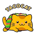TacoCat