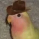 Gonb
